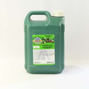 DESINFETANTE USO GERAL EUCALIPTO 5 LITROS MGD