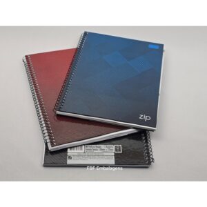 CADERNO CD 1MATERIA C/80FLS (TLB)